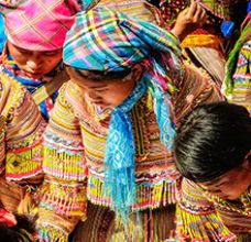 Articles et actualités au Vietnam