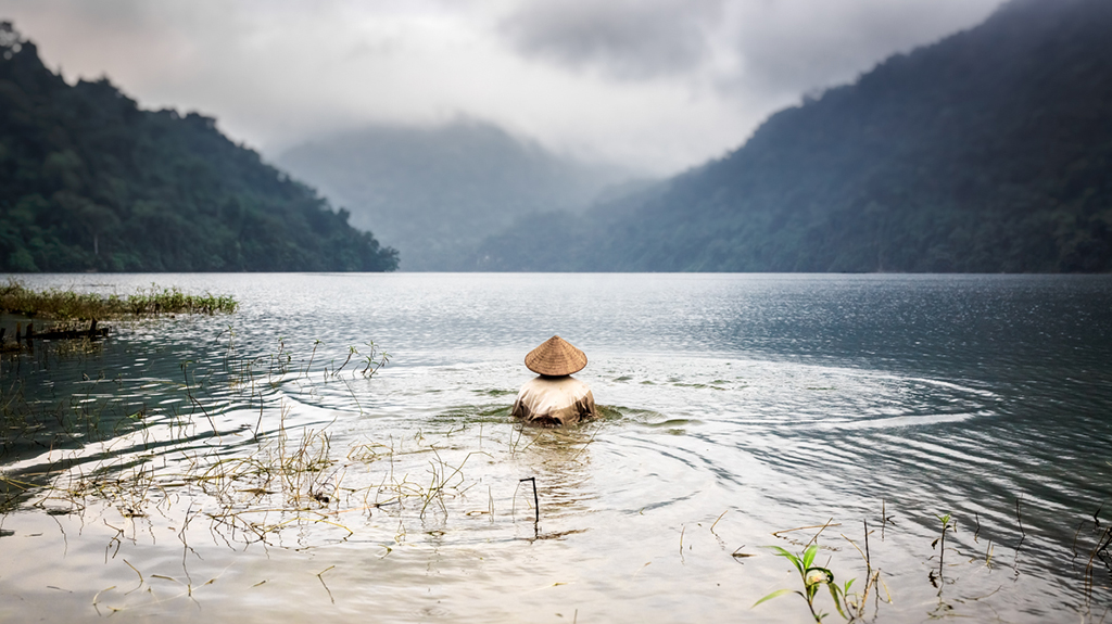 Découvrez le Vietnam des parcs naturels