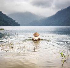 Articles et actualités au Vietnam