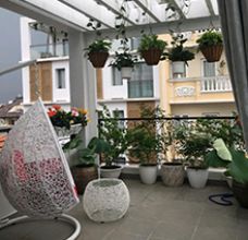 Articles et actualités au Vietnam