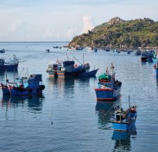 Articles et actualités au Vietnam