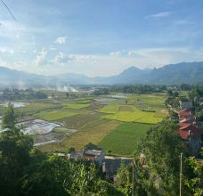 Articles et actualités au Vietnam