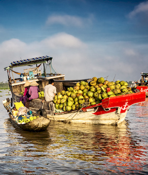 Jonque pleine de noix de coco au Vietnam.