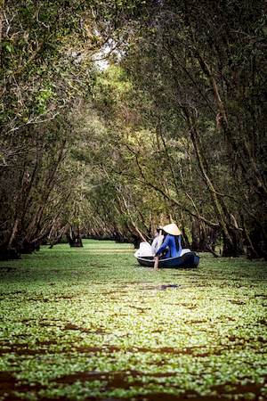 Marais dans la fôret vietnamienne.