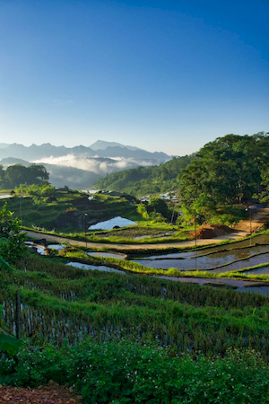 JPaysage au Vietnam.