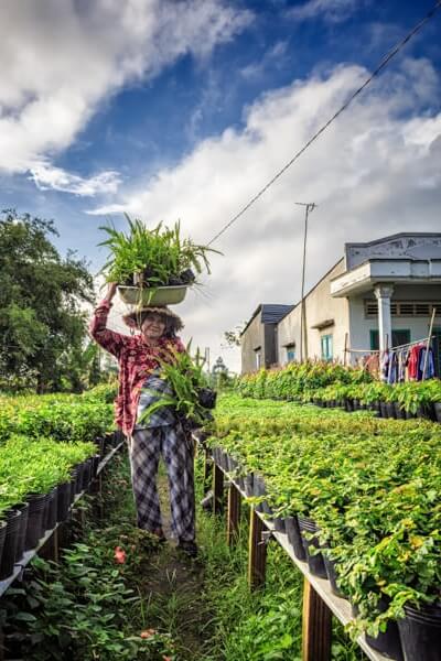 femme plantation cultivatrice.