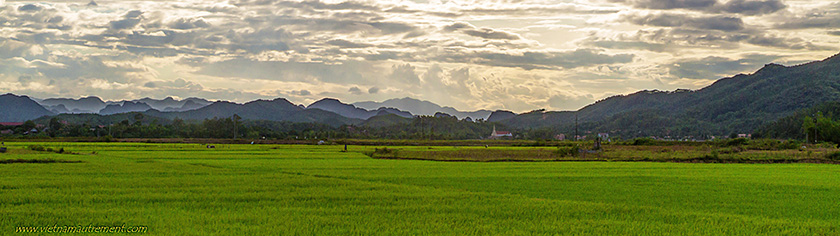 Parc national de Phong Nha au Vietnam.