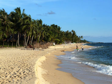 plage et cocotiers.