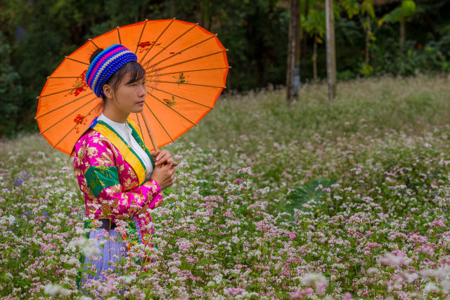 portrait vietnamienne ombrelle.