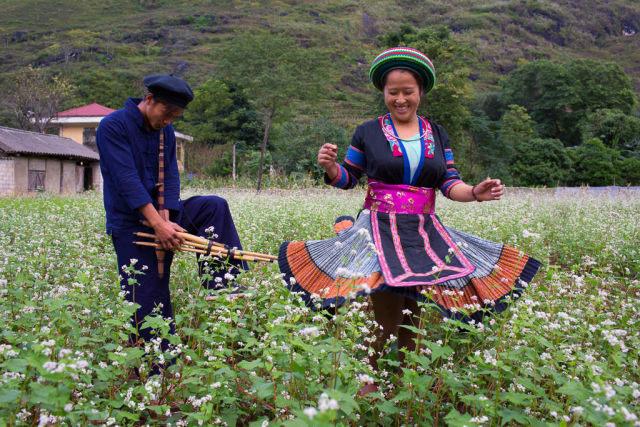 danse traditionnelle dans champs.