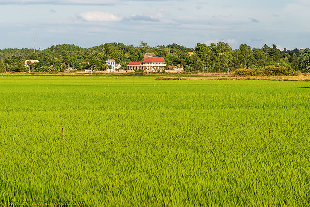 Phong Nha au Vietnam.