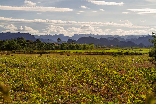 Phong Nha au Vietnam.