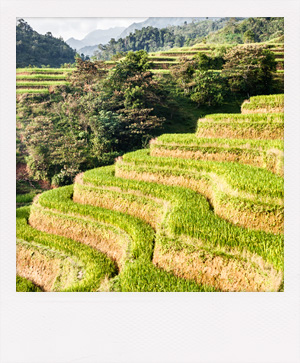 Voyage de noces et escapade romantique au Vietnam.